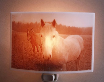 Horses  nightlight - in the french countryside