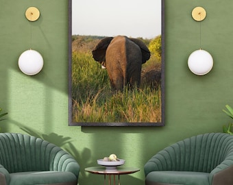 Elephant in the Reeds
