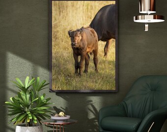 Little Buffalo Calf