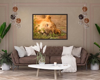 Golden-Eyed Lion Portrait: Wild Majesty Art Print