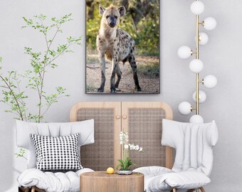 Curious Hyena Portrait Print, African Wildlife Art