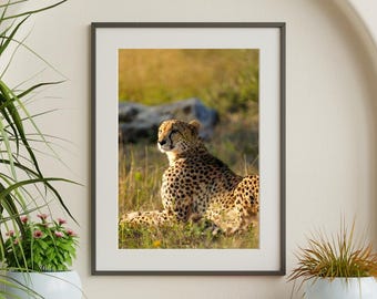 Cheetah Savanna Portrait, Wildlife Art Print