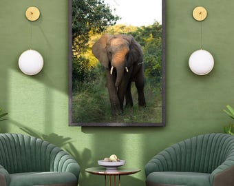 Elephant Print, Forest Animal Art