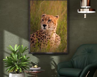 Cheetah in Thought