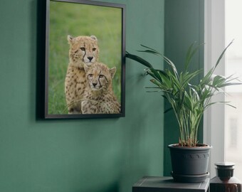 Cheetah Siblings Portrait, Wildlife Art Print