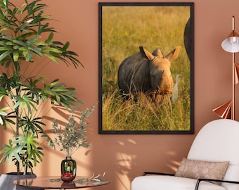 Baby Rhino at Sunset (I)