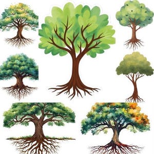 Peut inclure: Plusieurs illustrations à l'aquarelle d'arbres. Chaque arbre présente un tronc brun, des branches et un feuillage vert, avec des racines visibles. Les arbres varient en forme et en taille, présentant une variété de modèles.
