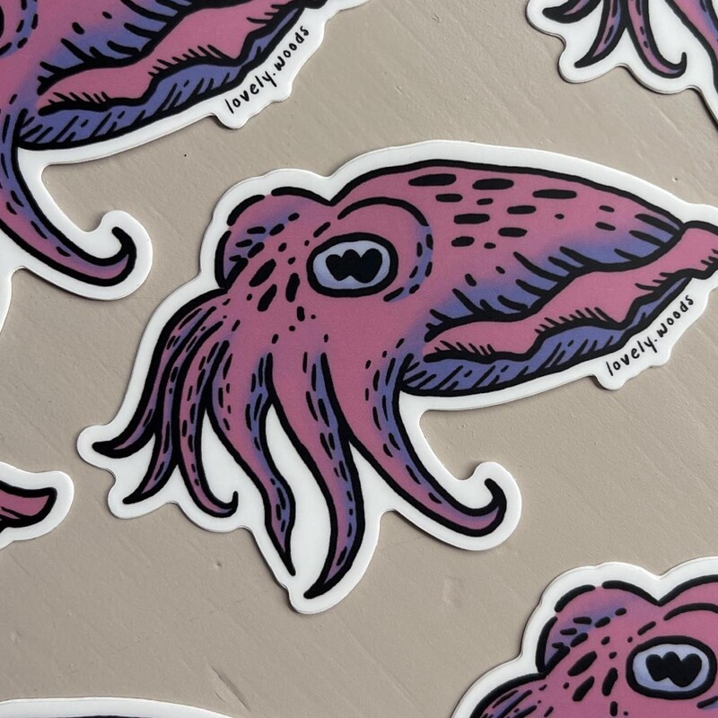 Cuttlefish - Etsy