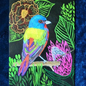Ensemble de 2 estampes d'oiseaux fantaisistes