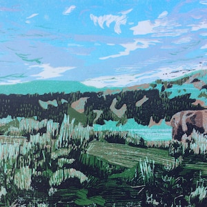 North American Bison Out West-Limited Edition, Hand Printed