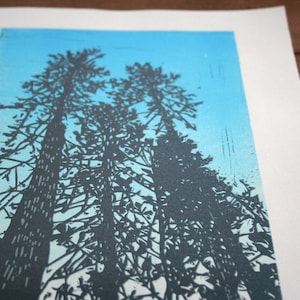 Big trees reaching up- Hand Pulled, Limited edition
