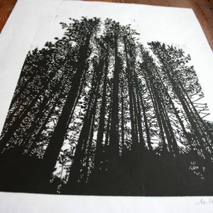 Lessons from the Trees,  We&#39;re Stronger Together- Hand Pulled, Limited edition