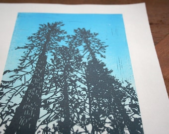 Big trees reaching up- Hand Pulled, Limited edition