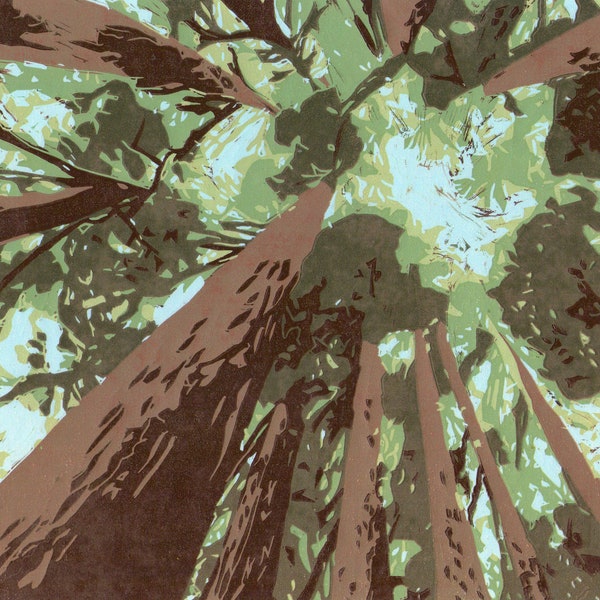 Looking Up into Redwoods-Hand Pulled, édition limitée