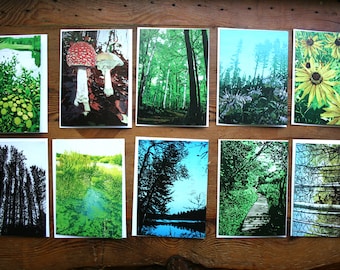 North Country Nature- Gift Card Set - Blank Card