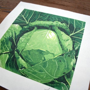 Green Cabbage Limited edition, hand pulled image 4