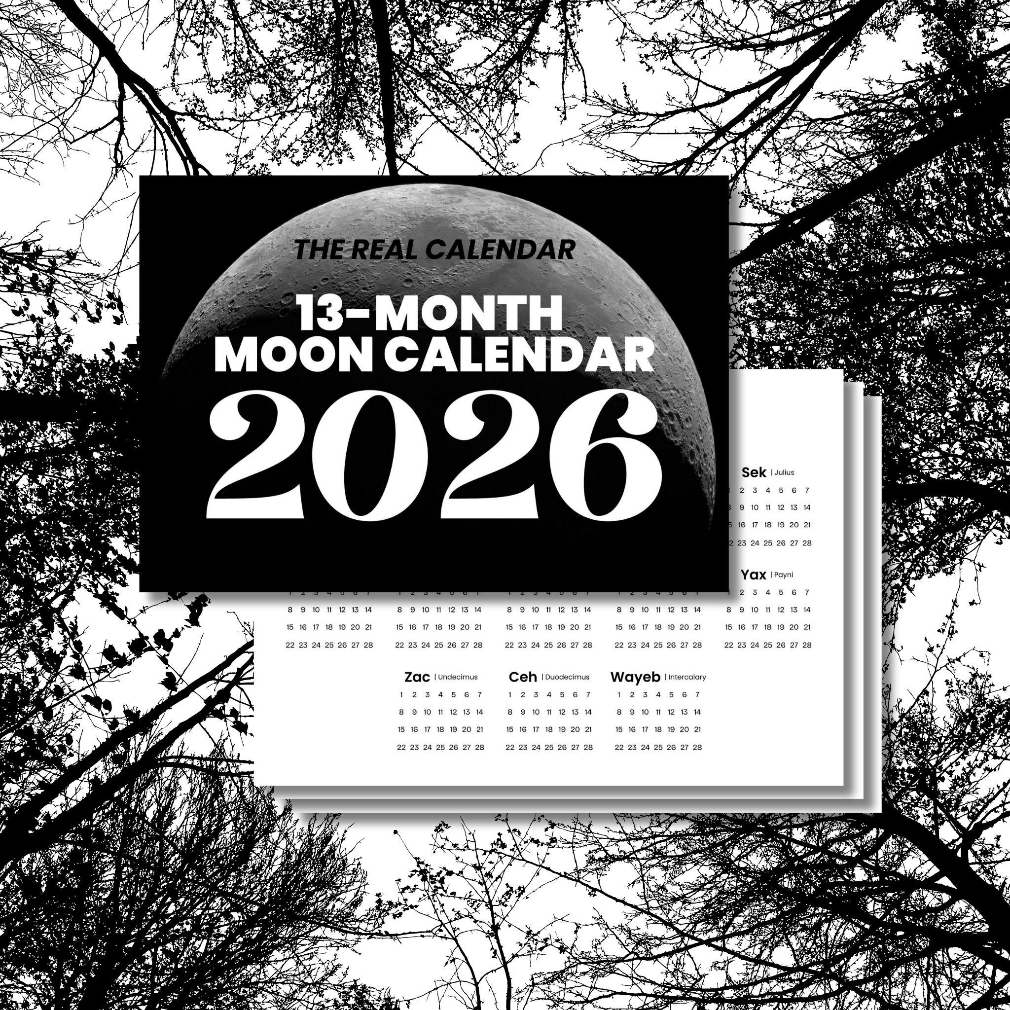 The Real 13 Month Moon Calendar 2026 | Complete A4 Digital