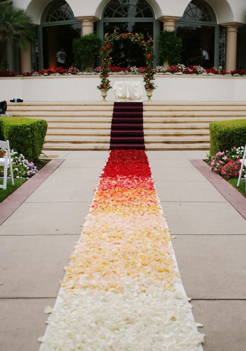 Ombre Aisle Runner Custom design Flower Petals are not Etsy