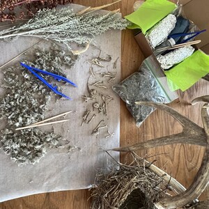 May include: An assortment of natural craft supplies, including dried flowers, a bird's nest, and a deer antler. Blue tweezers and toothpicks are on a piece of paper. Small bags and a box contain additional materials.