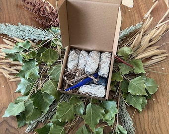 Owl Pellet Dissection Kit: 5 stora pellets, verktyg och benburk