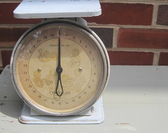 Baby Scale