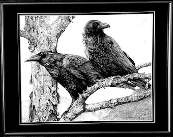Original ink drawing, two ravens in old tree, 24x30”