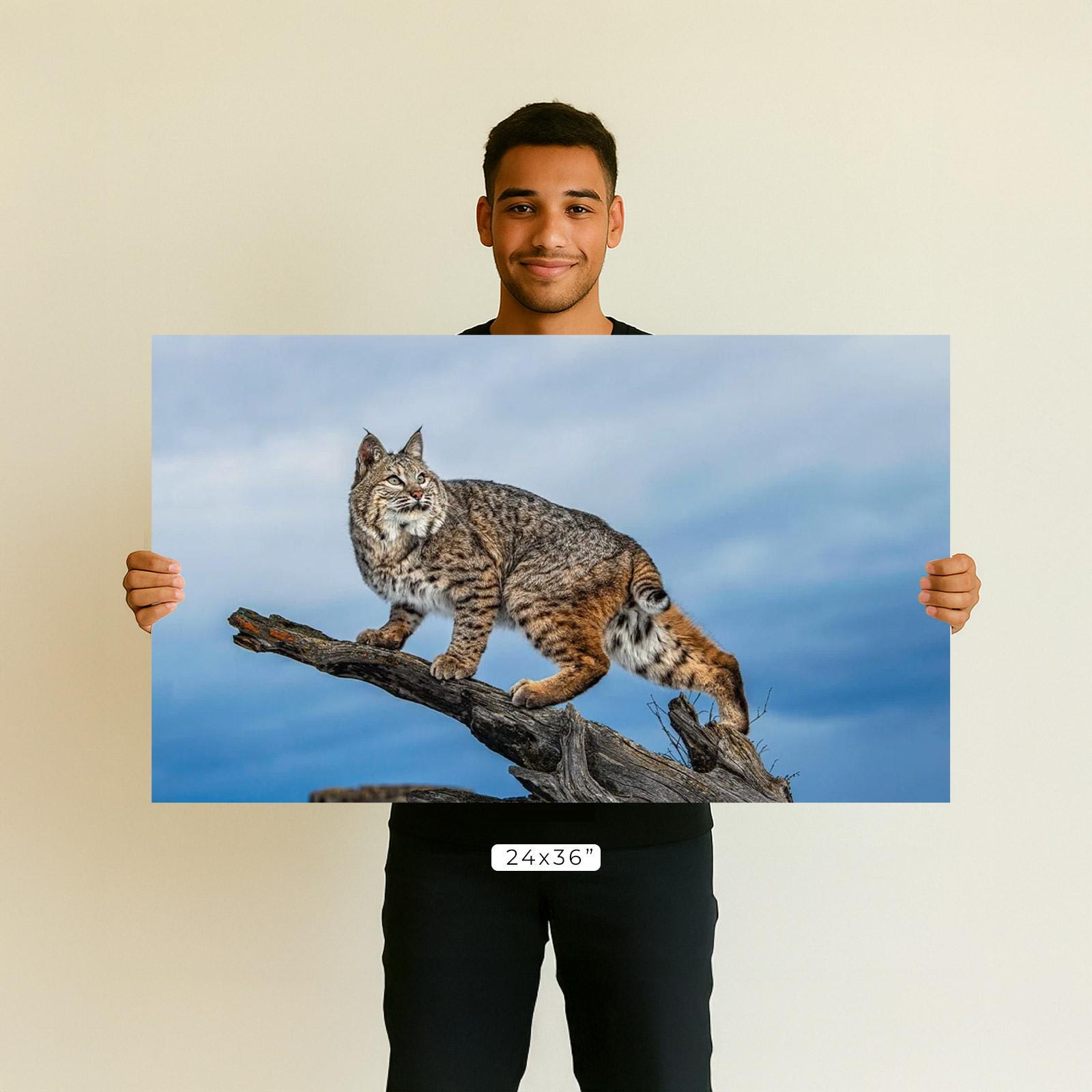 Rustic Bobcat Bobcat on Log Print: Montana Wildlife Photography, Rustic Wall Art - Etsy