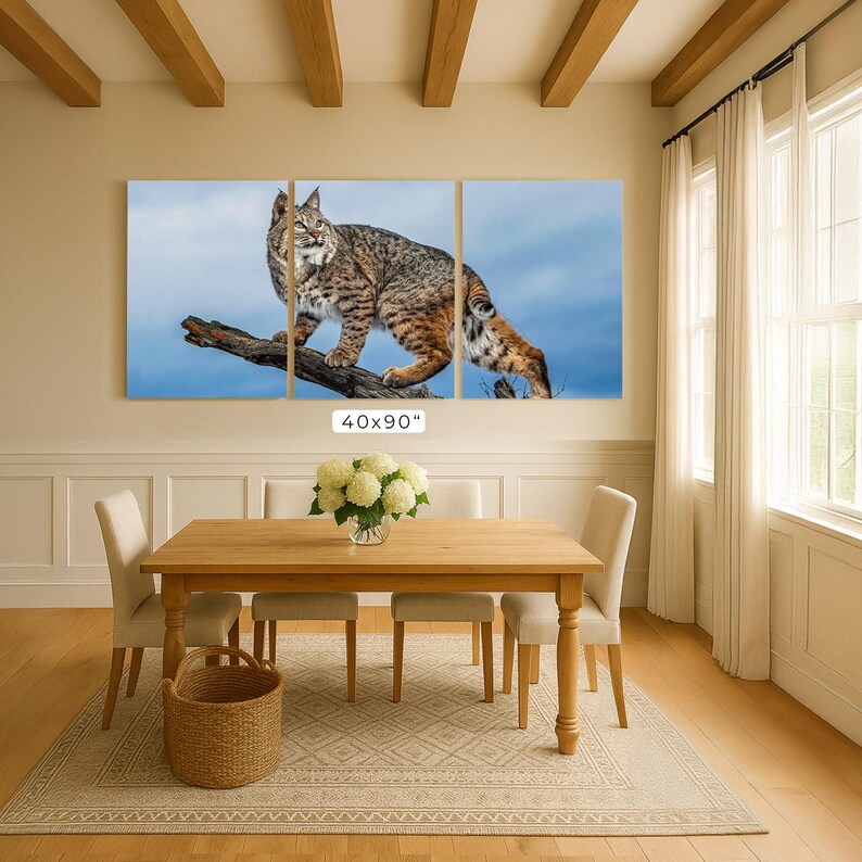 Rustic Bobcat Bobcat on Log Print: Montana Wildlife Photography, Rustic Wall Art - Etsy