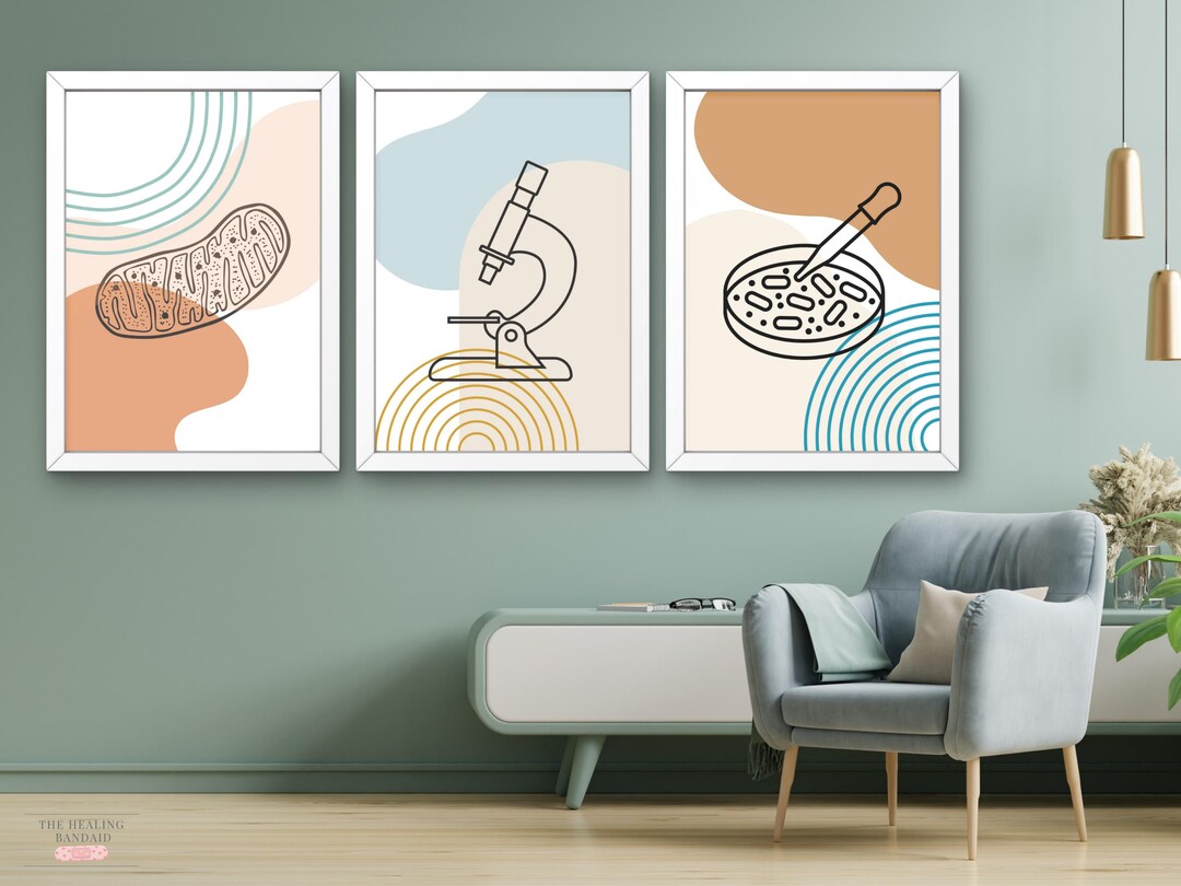 Science Wall Art Set of 3 | Minimalist Biology Prints for Lab ...