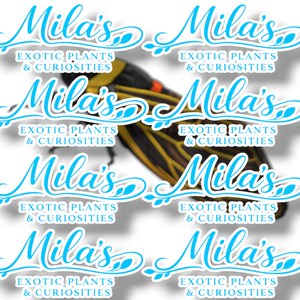 K&ouml;nnte beinhalten: Wiederholendes Muster von Aufklebern mit dem Text "Mila's Exotic Plants & Curiosities" in hellblauer Schrift. Im Hintergrund ist eine Zikade mit gelben, schwarzen und orangefarbenen Markierungen zu sehen.