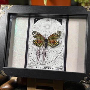 May include: A framed artwork with a butterfly and a tarot card. The black frame has decorative corner accents. The tarot card, labelled "THE LOVERS," shows two figures and celestial elements. The butterfly has orange, yellow, and black wings.