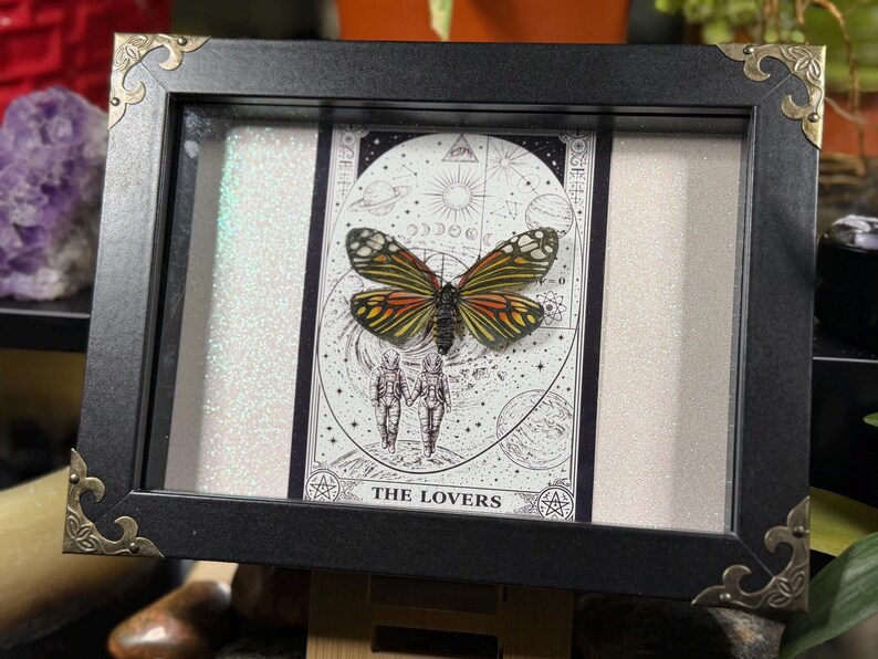May include: A framed artwork with a butterfly and a tarot card. The black frame has decorative corner accents. The tarot card, labelled "THE LOVERS," shows two figures and celestial elements. The butterfly has orange, yellow, and black wings.