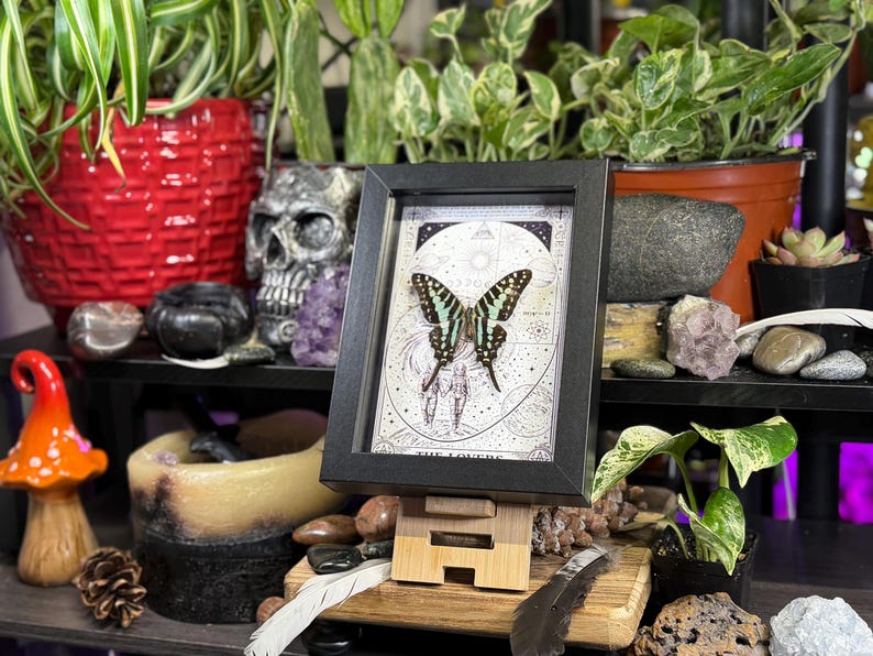 Puede incluir: Una impresi&oacute;n enmarcada con una mariposa de alas verdes y negras, presentada sobre un caballete de madera. La impresi&oacute;n tiene un marco negro y est&aacute; colocada sobre un fondo con im&aacute;genes celestiales e inspiradas en el tarot. La escena incluye plantas, cristales y objetos decorativos.