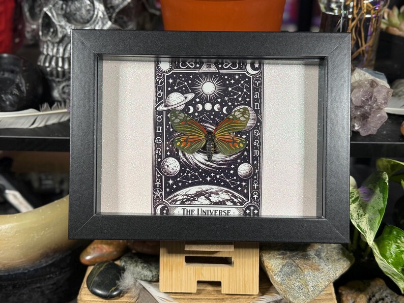 May include: A framed print with a butterfly and a celestial theme. The artwork shows planets, moons, and stars, with the words "THE UNIVERSE" at the bottom. The frame is black and the background is off-white.