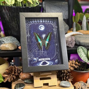 Puede incluir: Obra de arte enmarcada con una mariposa de alas turquesas y negras, sobre un fondo azul oscuro con ilustraciones celestiales. El marco negro est&aacute; sostenido por un soporte de madera. El texto "THE MOON" es visible.