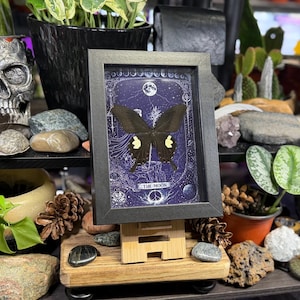 May include: A framed artwork featuring a black butterfly with yellow markings against a dark blue background with celestial designs. The frame is black, and the artwork is displayed on a wooden stand. The text "THE MOON" is visible at the bottom.