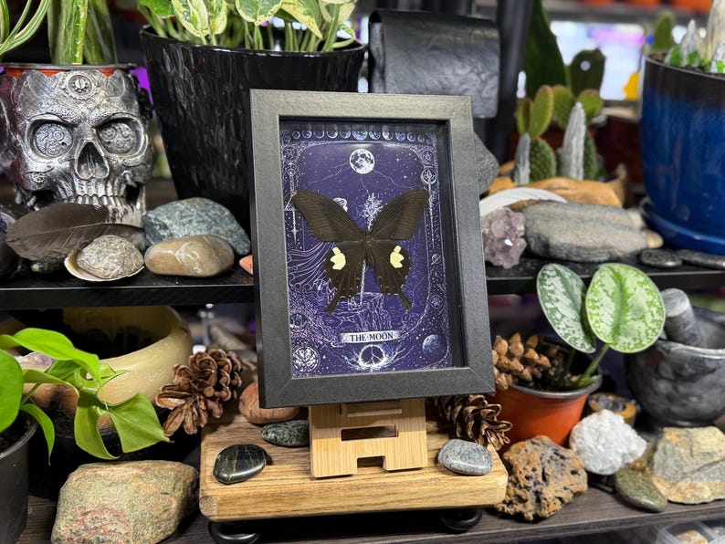 May include: A framed artwork featuring a black butterfly with yellow markings against a dark blue background with celestial designs. The frame is black, and the artwork is displayed on a wooden stand. The text "THE MOON" is visible at the bottom.