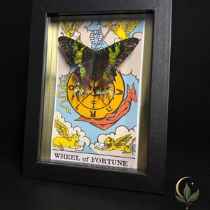 May include: A framed display featuring a preserved butterfly with green and black wings mounted over a Wheel of Fortune tarot card illustration. The card depicts yellow figures, a central wheel, and the text WHEEL of FORTUNE. The frame is black.