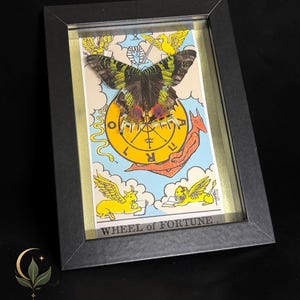 May include: A framed display featuring a preserved butterfly with green, black, and red wings mounted over a Wheel of Fortune tarot card illustration. The card depicts yellow winged figures, a red creature, and a central wheel with the text WHEEL of FORTUNE.