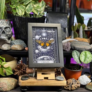 May include: A framed artwork featuring a celestial design with a moth and the word "CHAOS". The artwork is displayed on a wooden easel, surrounded by plants, rocks, and a skull-shaped container. The color palette includes black, white, orange, and green.