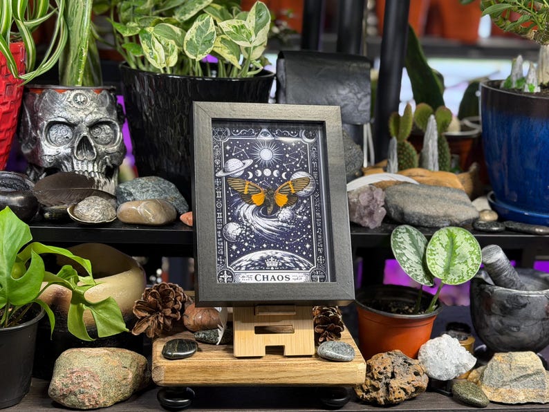 May include: A framed artwork featuring a celestial design with a moth and the word "CHAOS". The artwork is displayed on a wooden easel, surrounded by plants, rocks, and a skull-shaped container. The color palette includes black, white, orange, and green.
