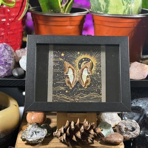 May include: A framed butterfly specimen with a black frame. The butterfly has brown and white wings, set against a backdrop of a golden sun, stars, and a night sky design. The frame is supported by a wooden stand.