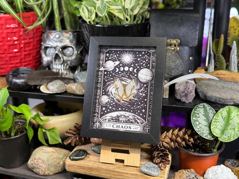 May include: A framed black and white print with celestial and butterfly imagery. The print features planets, moons, and stars, with the word "CHAOS" at the bottom. The frame is displayed on a wooden easel, surrounded by plants and decorative items.