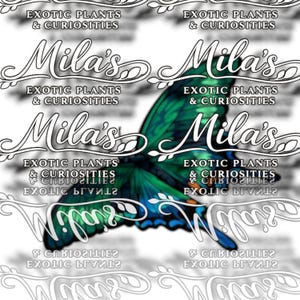 May include: A digital illustration of a butterfly with green and blue wings. The image includes the text "Mila's Exotic Plants & Curiosities" in a decorative font, set against a white background.