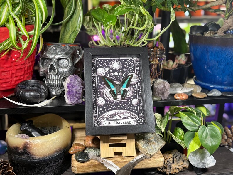 Op de afbeelding: Een zwart-wit print in een lijst met een vlinder met turquoise en zwarte vleugels, tegen een hemelse achtergrond met planeten en sterren. De print is getiteld "The Universe". De afbeelding wordt weergegeven op een houten ezel, omringd door planten en decoratieve items.