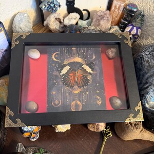Red Cracker Butterfly Framed Specimen Art | Hamadryas amphinome Ruby Tarot Entomology Decor Ruby Edition 001