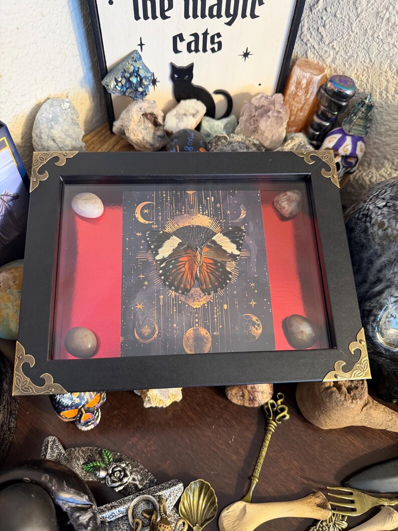 Red Cracker Butterfly Framed Specimen Art | Hamadryas amphinome Ruby Tarot Entomology Decor Ruby Edition 001