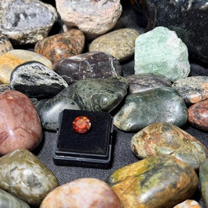 May include: A selection of rocks and stones, featuring a faceted, orange gemstone in a black display case. The stones display a range of colours, including grey, brown, green, and red. Some stones have distinctive patterns and textures.