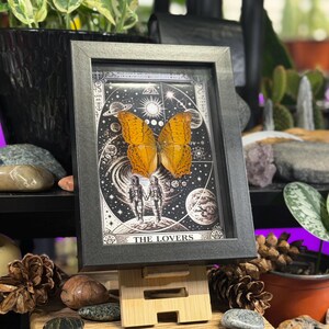K&ouml;nnte beinhalten: Gerahmtes Kunstwerk mit einer detaillierten Illustration eines Schmetterlings mit orangefarbenen Fl&uuml;geln, vor einem Sternenhintergrund mit Planeten und zwei Figuren. Das Kunstwerk ist in einem schwarzen rechteckigen Rahmen gerahmt und auf einem Holzst&auml;nder ausgestellt. Der Text "THE LOVERS" ist sichtbar.
