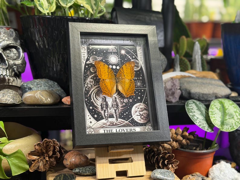 K&ouml;nnte beinhalten: Gerahmtes Kunstwerk mit einer detaillierten Illustration eines Schmetterlings mit orangefarbenen Fl&uuml;geln, vor einem Sternenhintergrund mit Planeten und zwei Figuren. Das Kunstwerk ist in einem schwarzen rechteckigen Rahmen gerahmt und auf einem Holzst&auml;nder ausgestellt. Der Text "THE LOVERS" ist sichtbar.